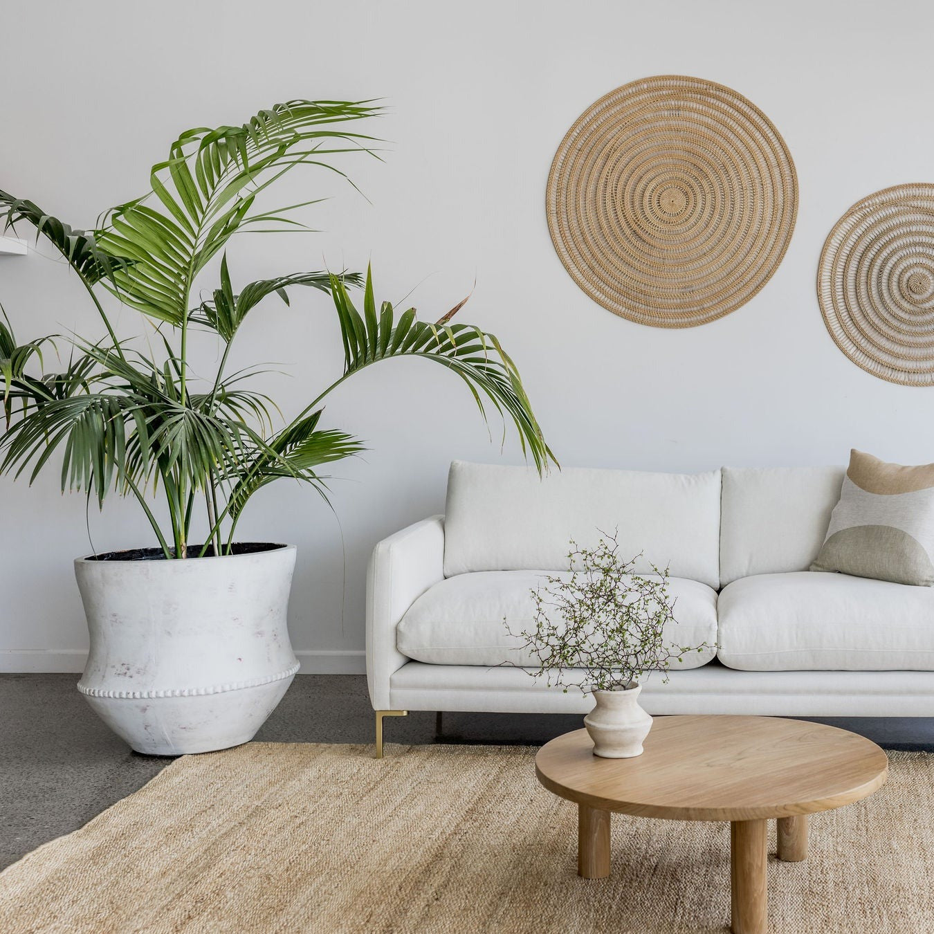 white sofa and large white indoor pot from corcovado furniture and homewares store new zealand