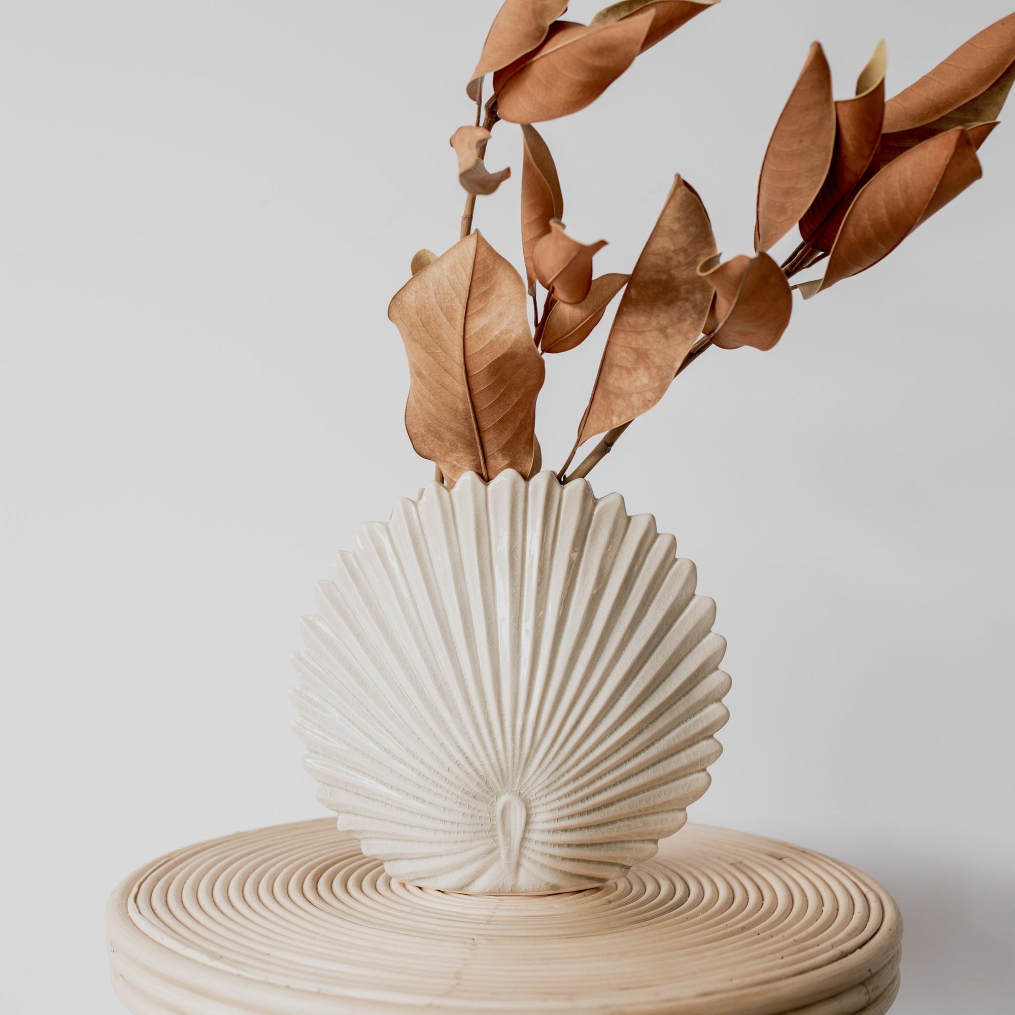 A ceramic vase that echoes art deco style in the form of a fan or peacock, in a soft creamy, off white shade from corcovado furniture and homewares